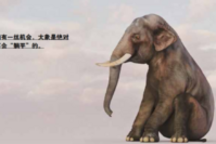 车企不会“席地而坐”