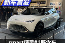 2022年国产 smart精灵#1概念车国内亮相