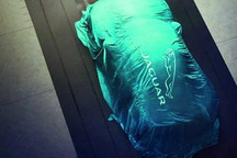 蓄力？捷豹称2025年前不会推出任何新车