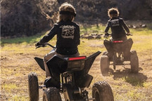 特斯拉发布儿童版Cyberquad全地形车 售价1,900美元