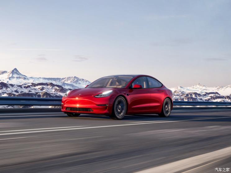 特斯拉（进口） Model 3(进口) 2021款 美国版