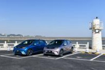 海豚终将去往一片广阔的海洋