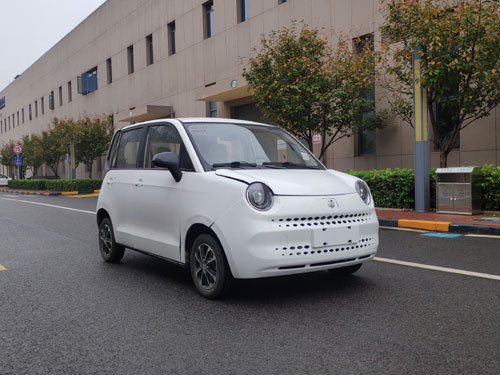 新車，領(lǐng)途大貓