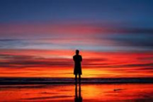 11月新能源销量：是谁在碾压特斯拉？又是谁反超了蔚来？