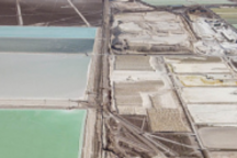 闷声发大财！今年这些海外上游厂商股价远远跑赢特斯拉