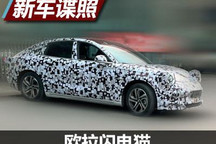 毫无保留的酷炫个性 欧拉闪电猫谍照