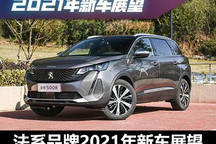 新款4008/新C5等 法系品牌2021新车展望