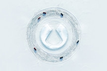 落魄“富二代”腾势