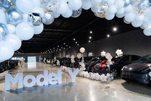 为Model Y疯狂的36天