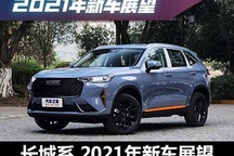 初恋/摩卡等 长城系2021年新车展望