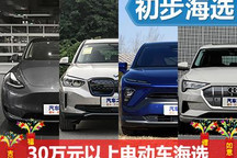 春節(jié)特輯(4) 編輯推薦30萬元以上電動車