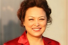 关注中国汽车的全球化、智能化和新能源发展 全国人大代表王凤英提三项议案建议