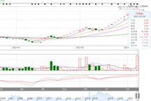 众泰汽车股票连续多日涨停，背后或有神秘投资人加入