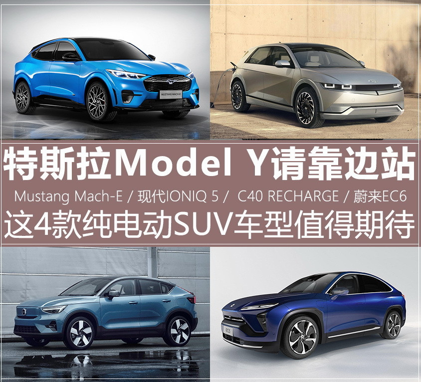 Model  Y竞品导购