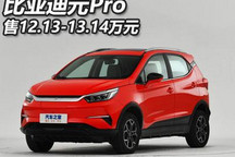 补贴后售12.13万起 比亚迪元Pro上市
