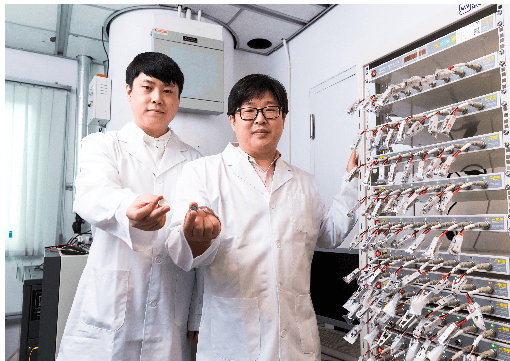 電池，錳基正極材料,鈷,鎳，香港城市大學(xué)，電池容量