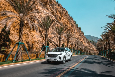 SUV,长城汽车,长城炮,长城汽车,3月汽车销量 SUV,长城汽车,长城炮,长城汽车,3月汽车销量