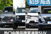 選擇更多樣 熱門中國(guó)品牌緊湊型SUV推薦