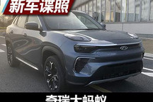 增加黑/金色装饰 奇瑞大蚂蚁申报图曝光