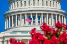 美国超80家企业呼吁2035年起仅售零排放轻型车