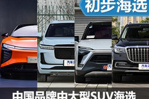 身大力不虧 四款中國(guó)品牌中大型SUV推薦