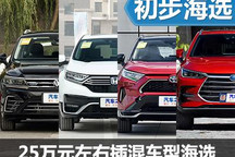 都是成熟產(chǎn)品 25萬(wàn)元左右插混車型推薦