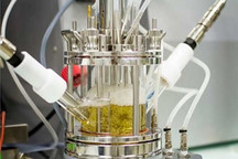米其林合作生物化學(xué)公司Carbios 用回收塑料瓶制輪胎