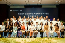 中国汽车品牌联合，推动品牌向上发展