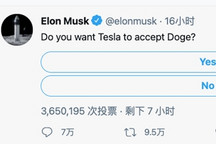 马斯克询问Twitter粉丝：你们希望特斯拉接受狗狗币吗？