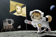 今年特斯拉股价下跌近五分之一，马斯克财富缩水91亿美元