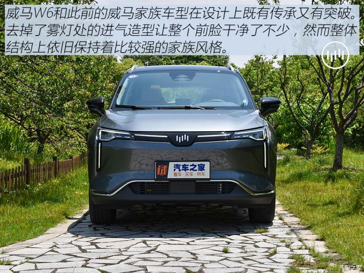 威馬汽車 威馬W6 2021款 520km ACE極智版