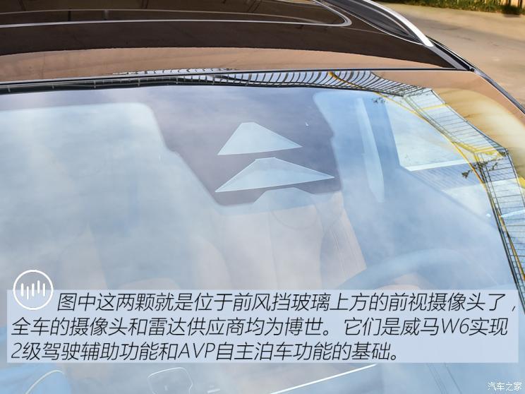 威馬汽車 威馬W6 2021款 520km ACE極智版