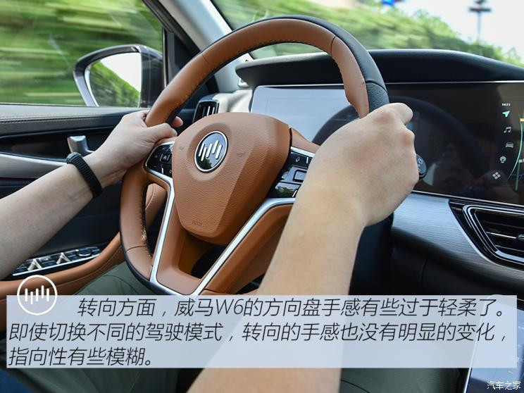 威馬汽車 威馬W6 2021款 520km ACE極智版
