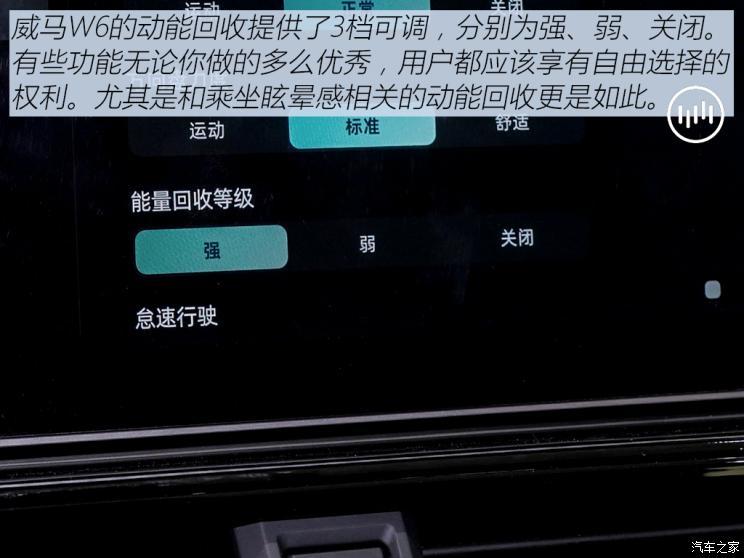 威马汽车 威马W6 2021款 520km ACE极智版