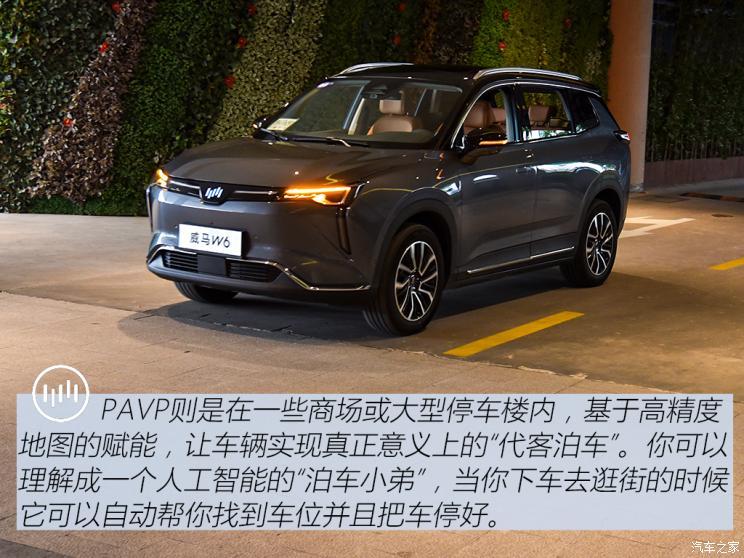 威馬汽車 威馬W6 2021款 520km ACE極智版