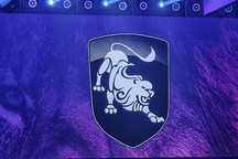 劲狮标今晚发布 东风风行全系同步亮相