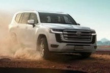 陆巡，别来无恙！