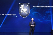 切换劲狮标，东风风行会越来越小众吗？