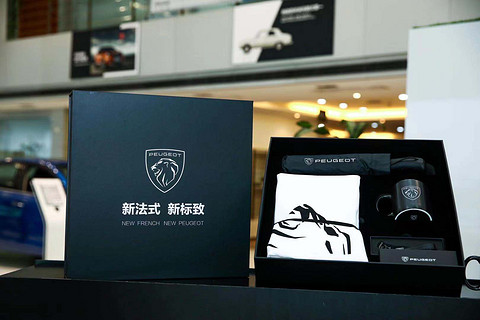 东风标致 东风标致