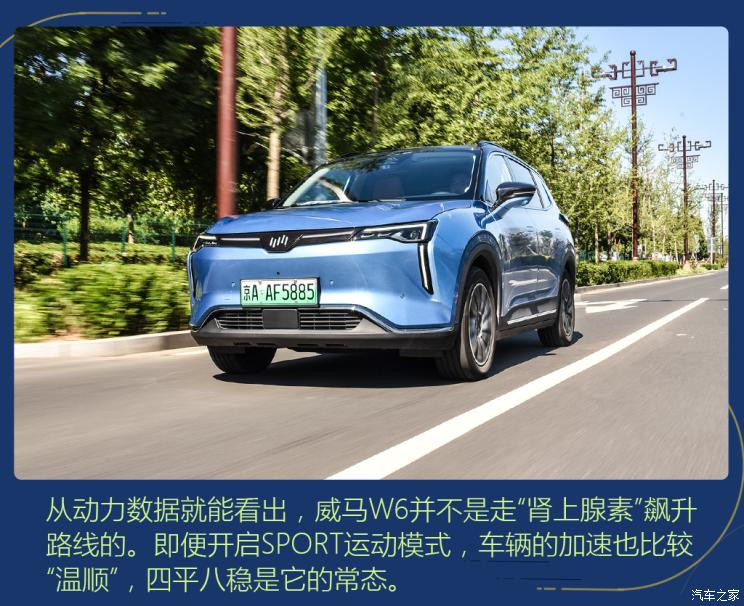 威馬汽車 威馬W6 2021款 520km ACE極智版
