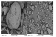 研究團(tuán)隊(duì)用堿液、尿素預(yù)處理有害綠藻 提升生物燃料產(chǎn)量
