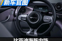 全新设计风格 比亚迪海豚内饰官图发布