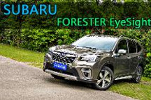 智驾开箱丨安全配置是它的亮点，当然森林人混动也有其他亮点