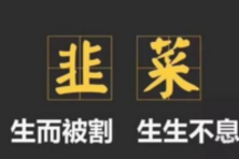 车圈上半年名场面 | 年中盘点