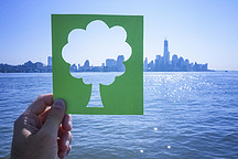 欧盟公布一揽子碳减排计划提案 航空汽车及能源等迎来深刻改变