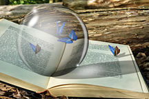 年中策划｜传统车企磕磕绊绊学做网红，特斯拉依然「真香」