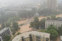 他们的微光与大义