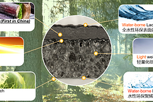 贝内克-长顺：绿色环保轻量型软质TPO材料 | 2021金辑奖