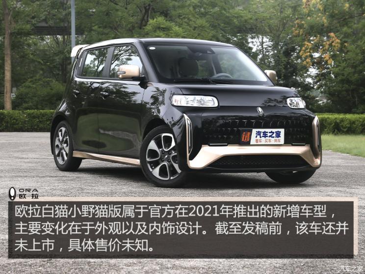 長(zhǎng)城汽車 歐拉白貓 2021款 小野貓