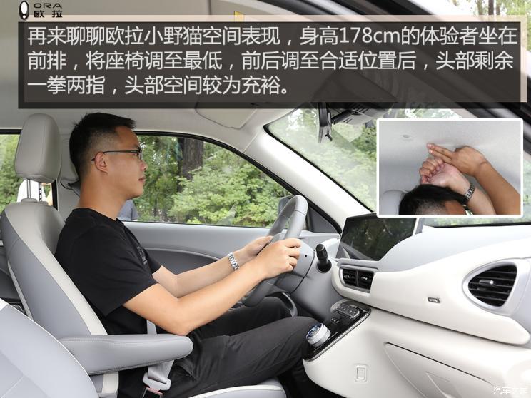 長(zhǎng)城汽車 歐拉白貓 2021款 小野貓